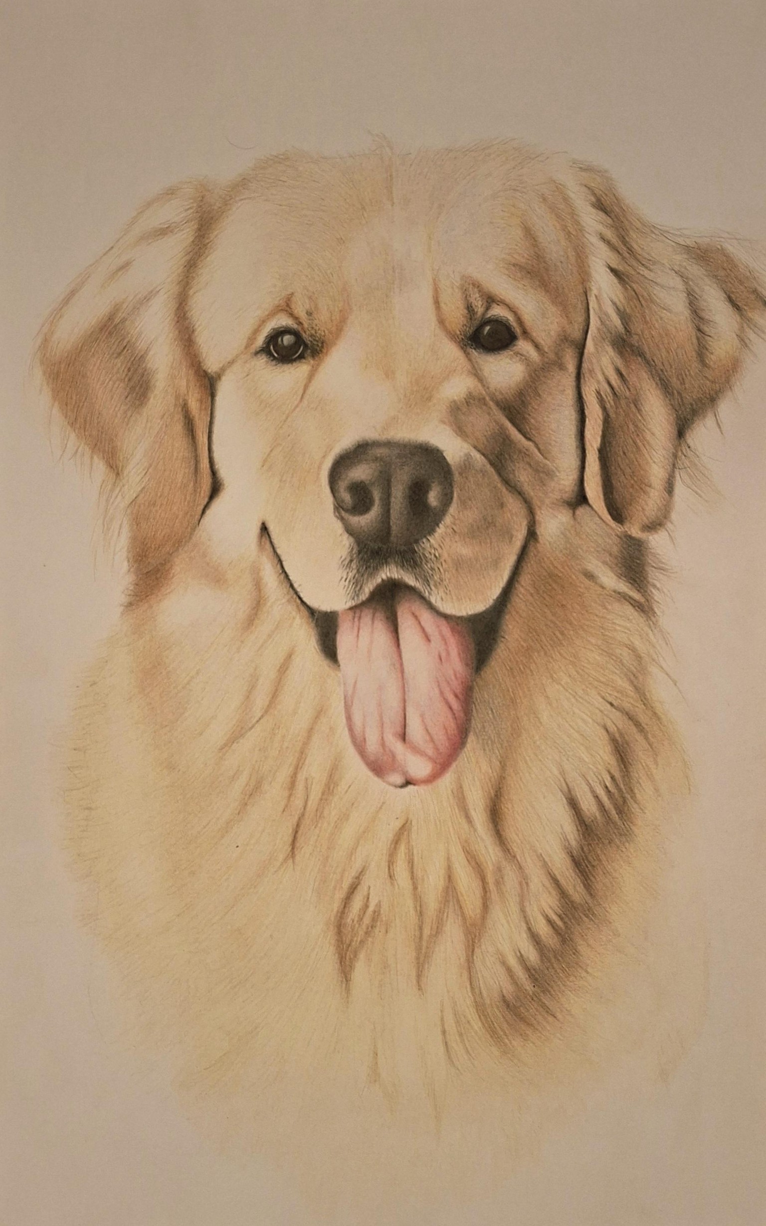 Golden Labrador - image 1 - student project