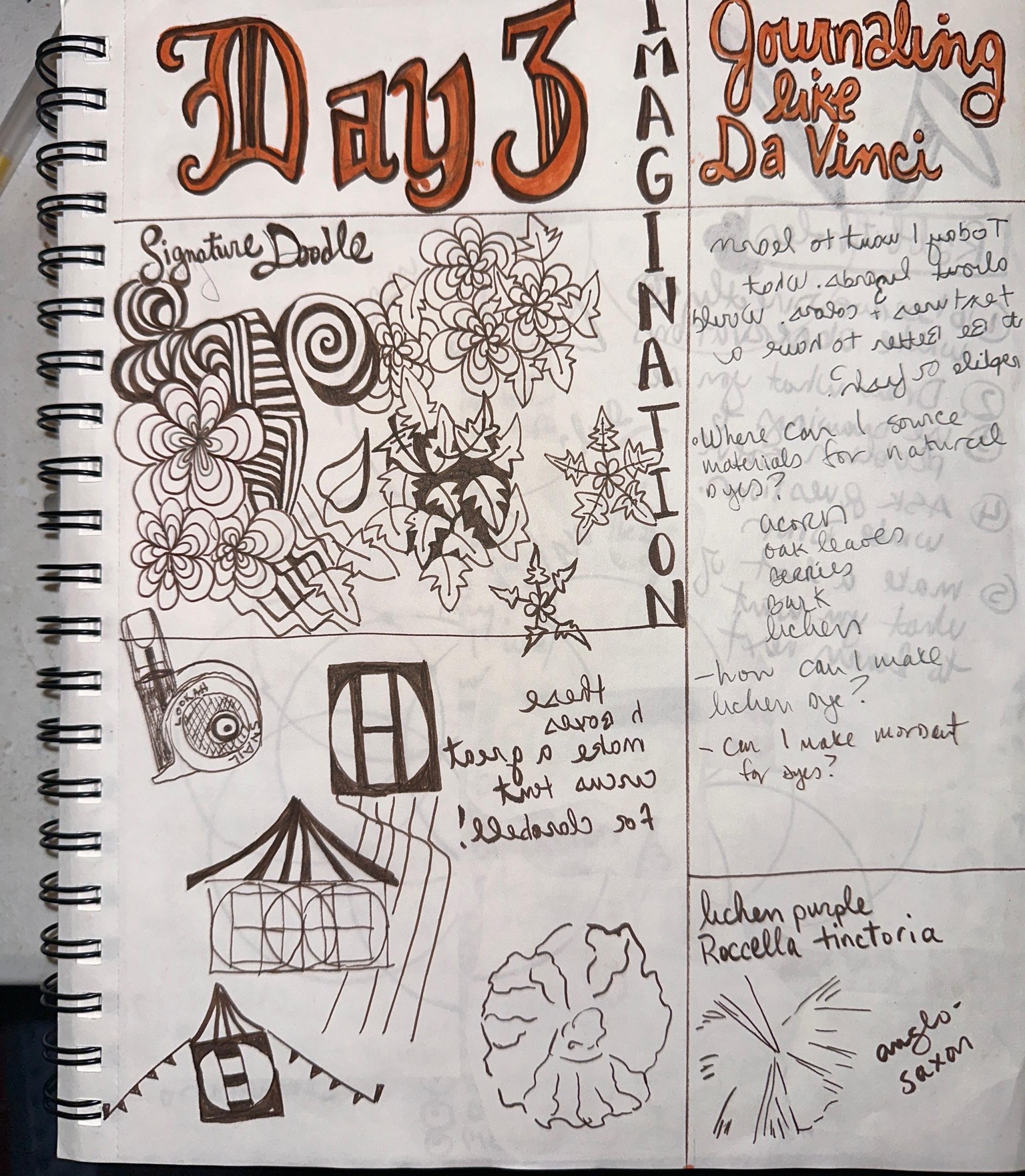 Seven Days of Da Vinci - image 3 - student project