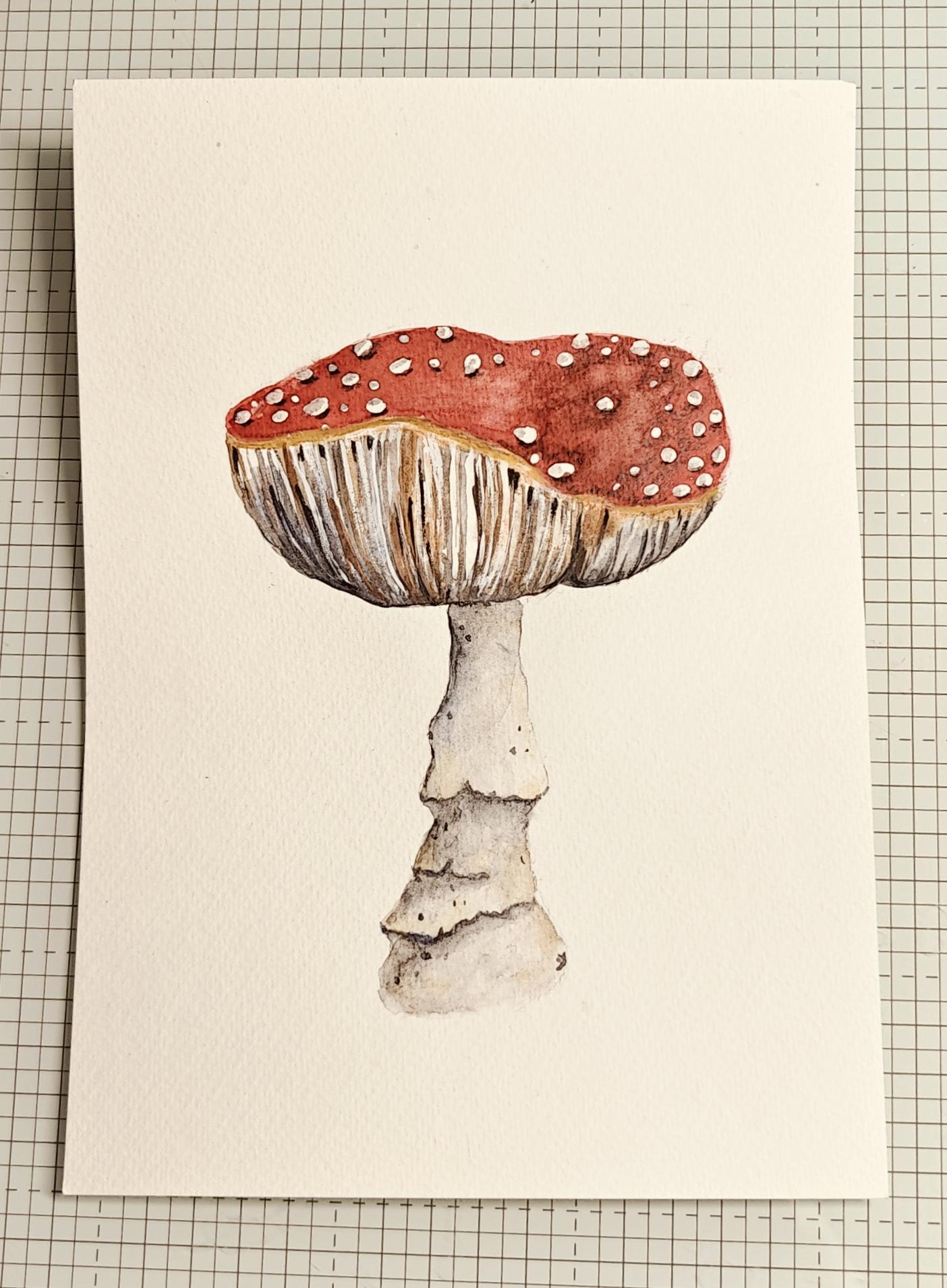 Sweet Mushroom - image 2 - student project