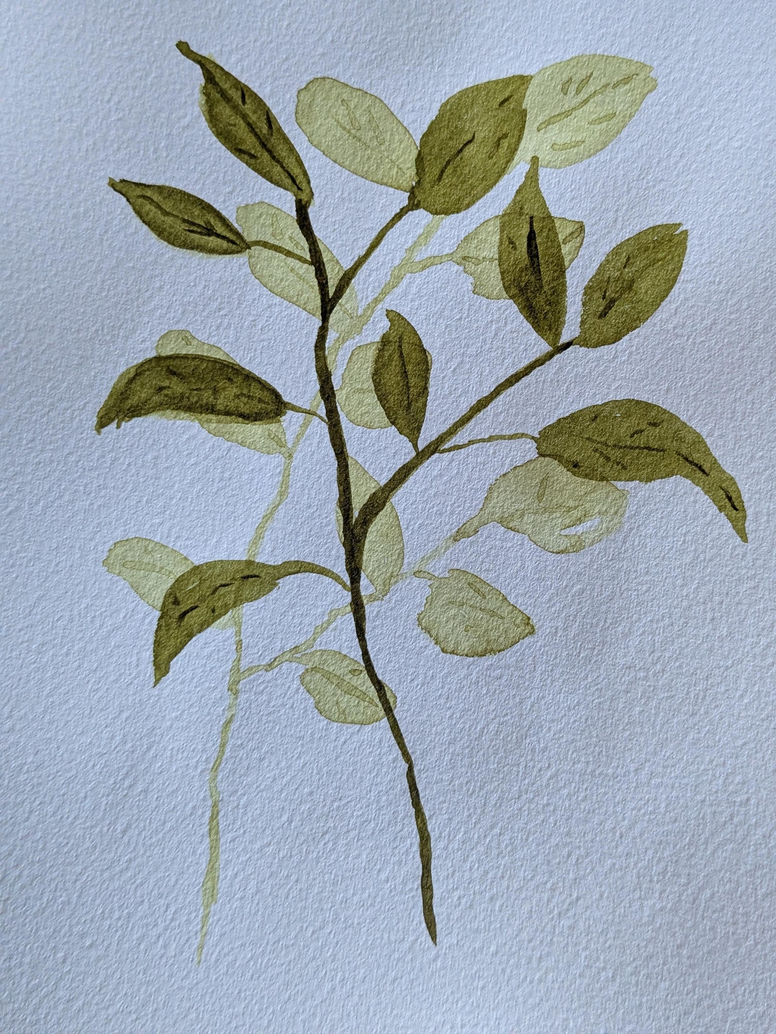 Flowing leaf study - image 1 - student project