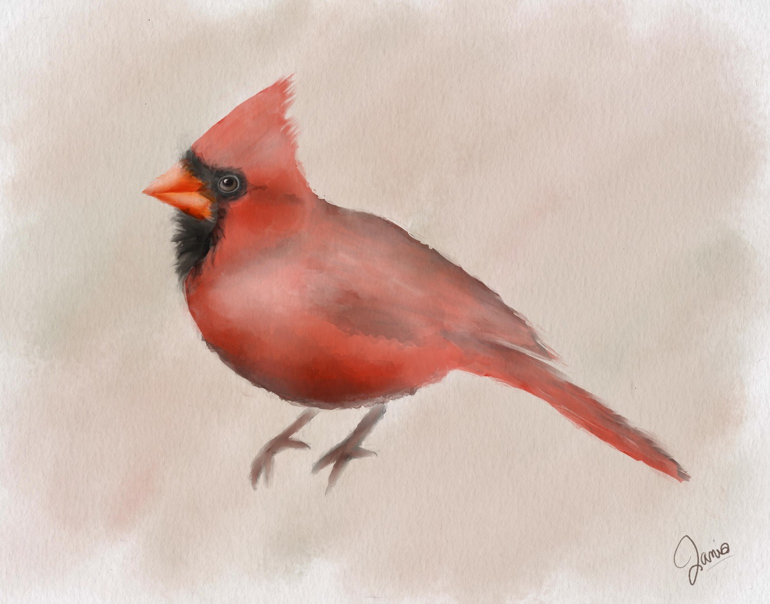 Watercolor Cardinal - image 1 - student project