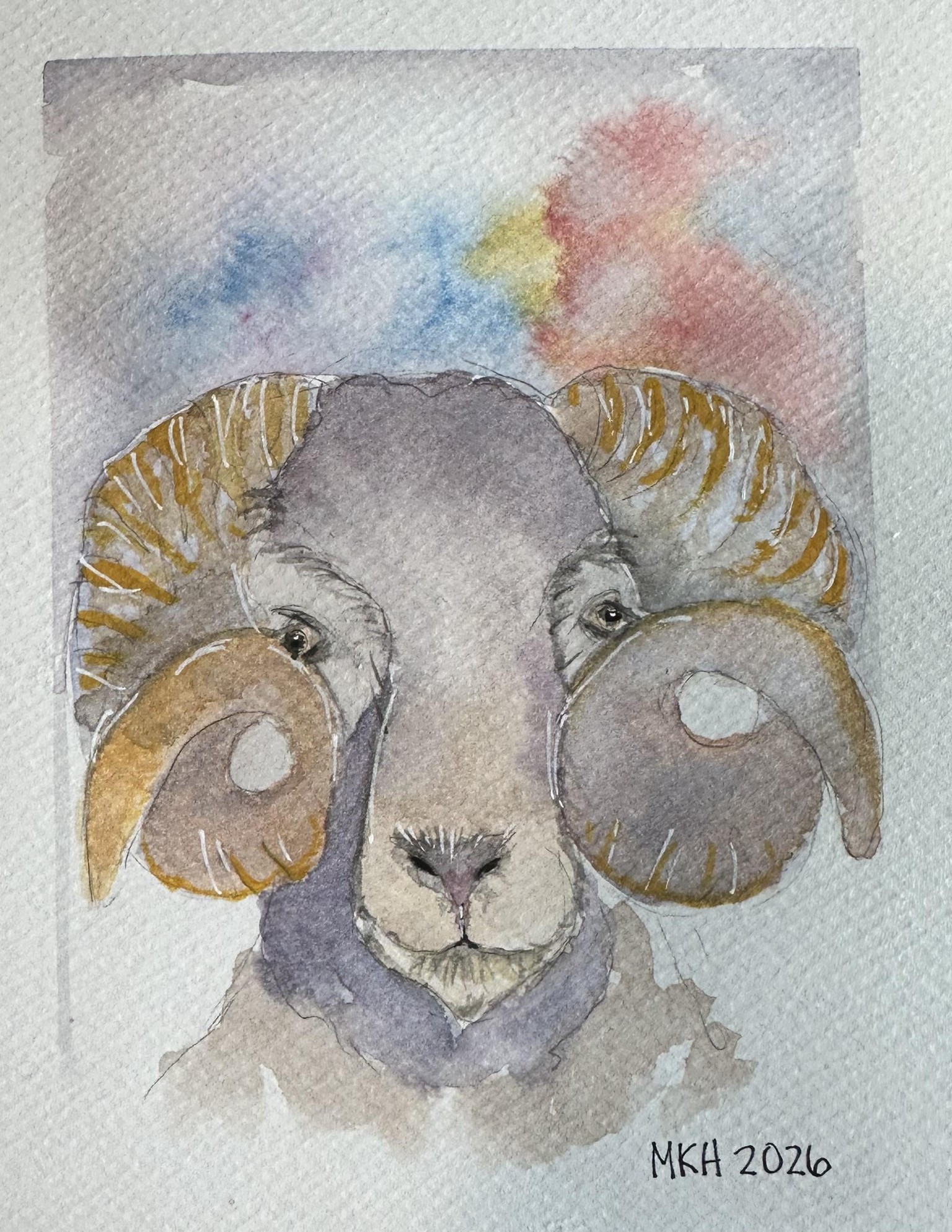 Ram - image 1 - student project