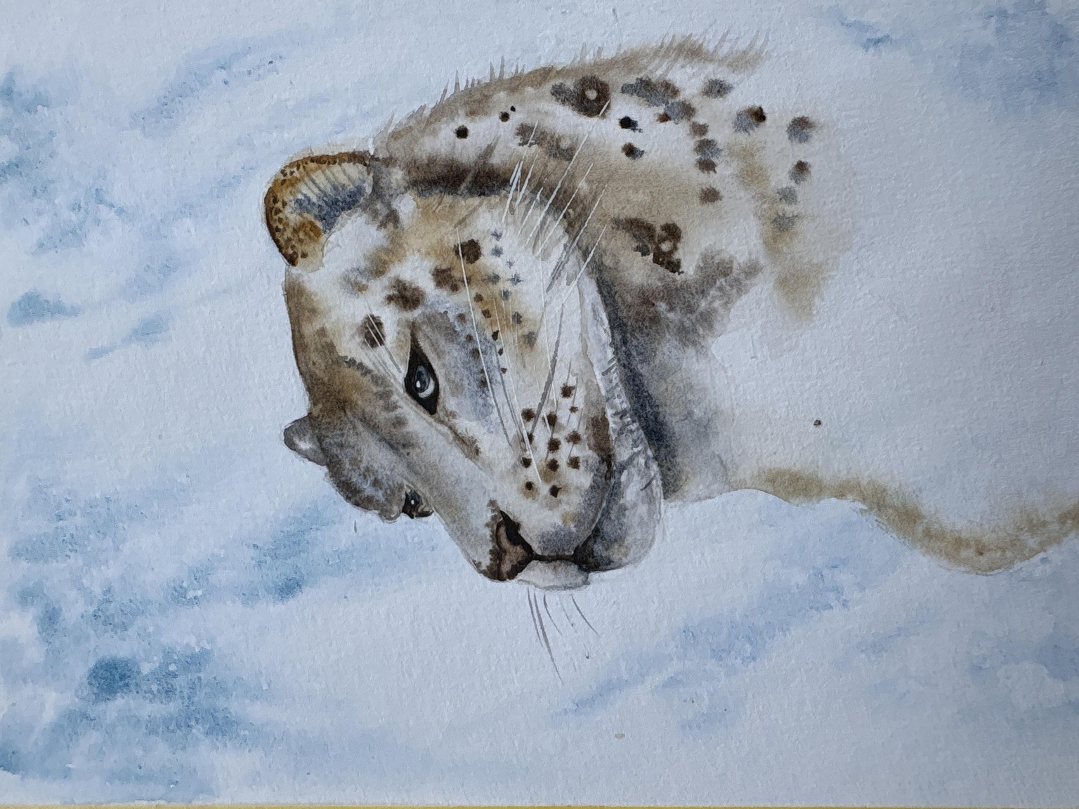 Snow Lion - image 2 - student project