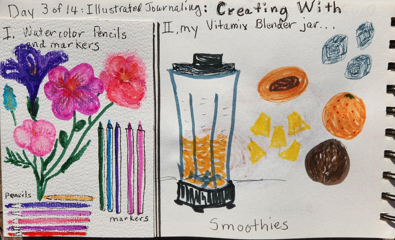First Attempt with Illustrated Journal - image 4 - student project