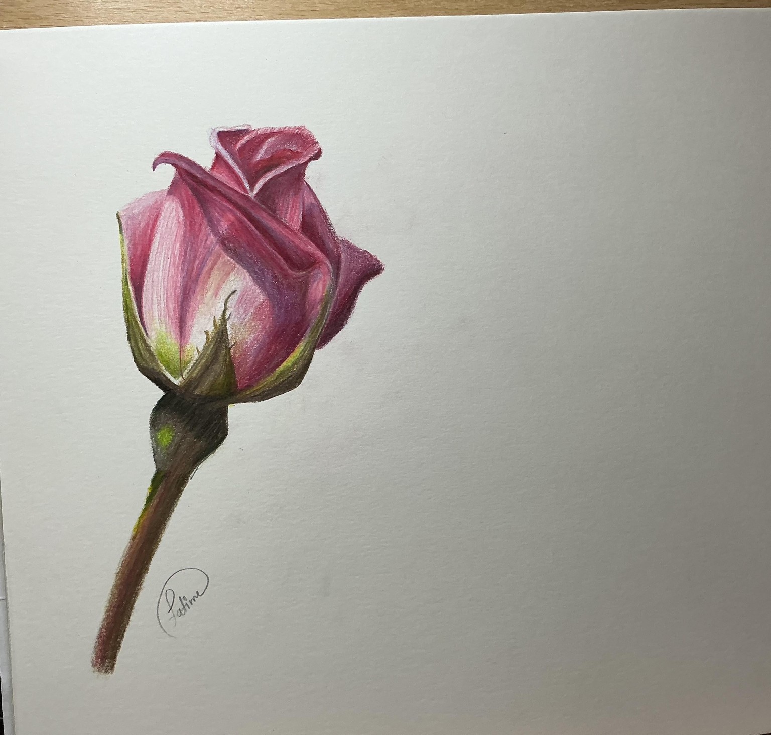 Rose - image 1 - student project