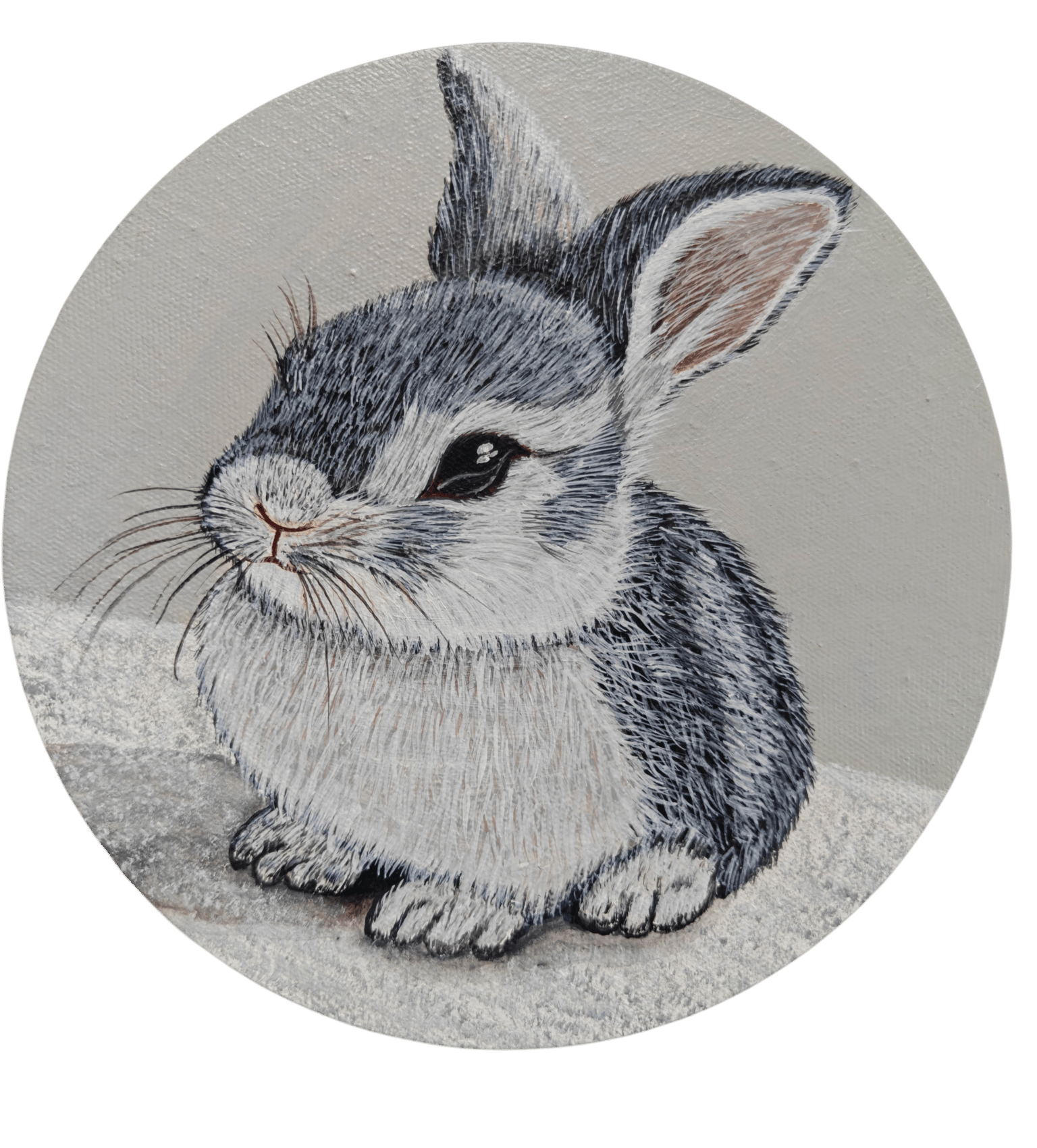 Bunny Acrylic painting - image 1 - student project
