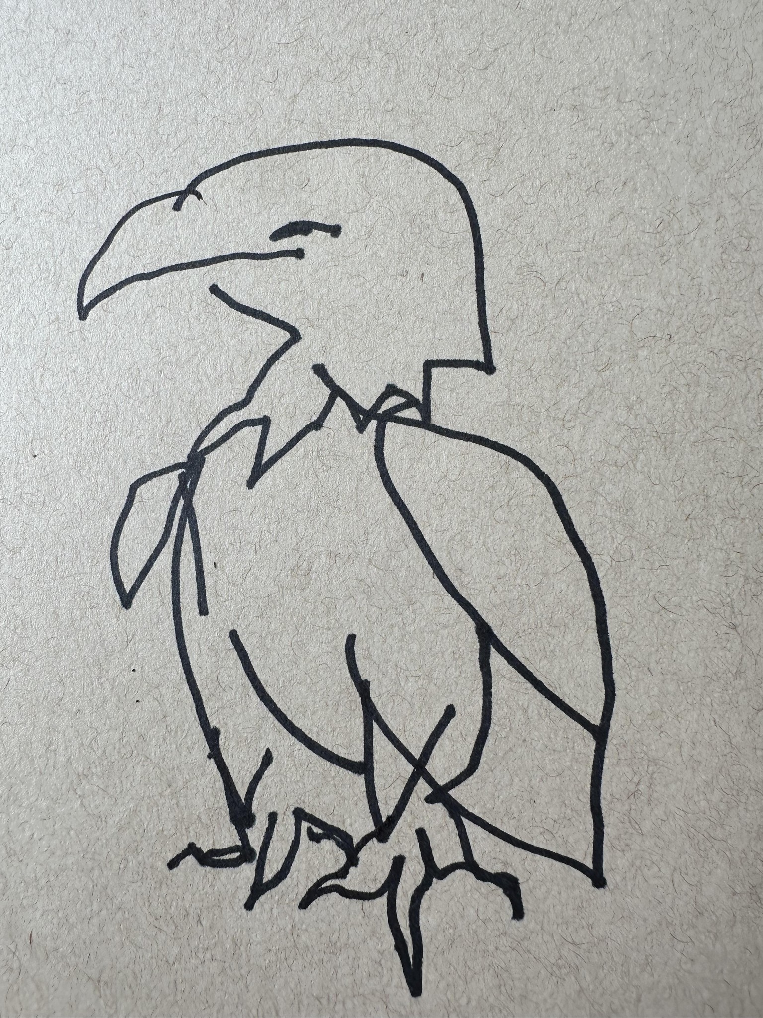 scary eagle - drawing without looking at the paper - image 1 - student project