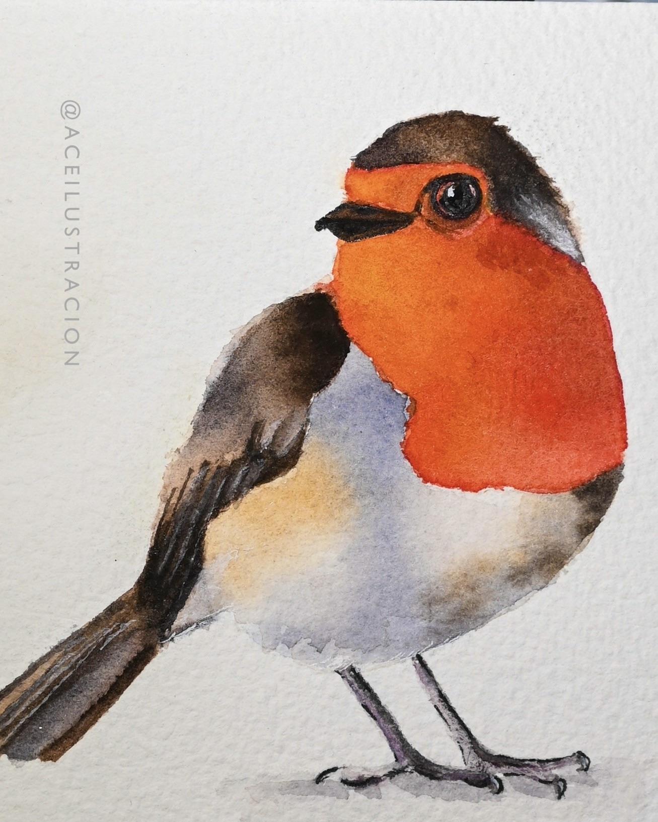 Red Robin - image 2 - student project