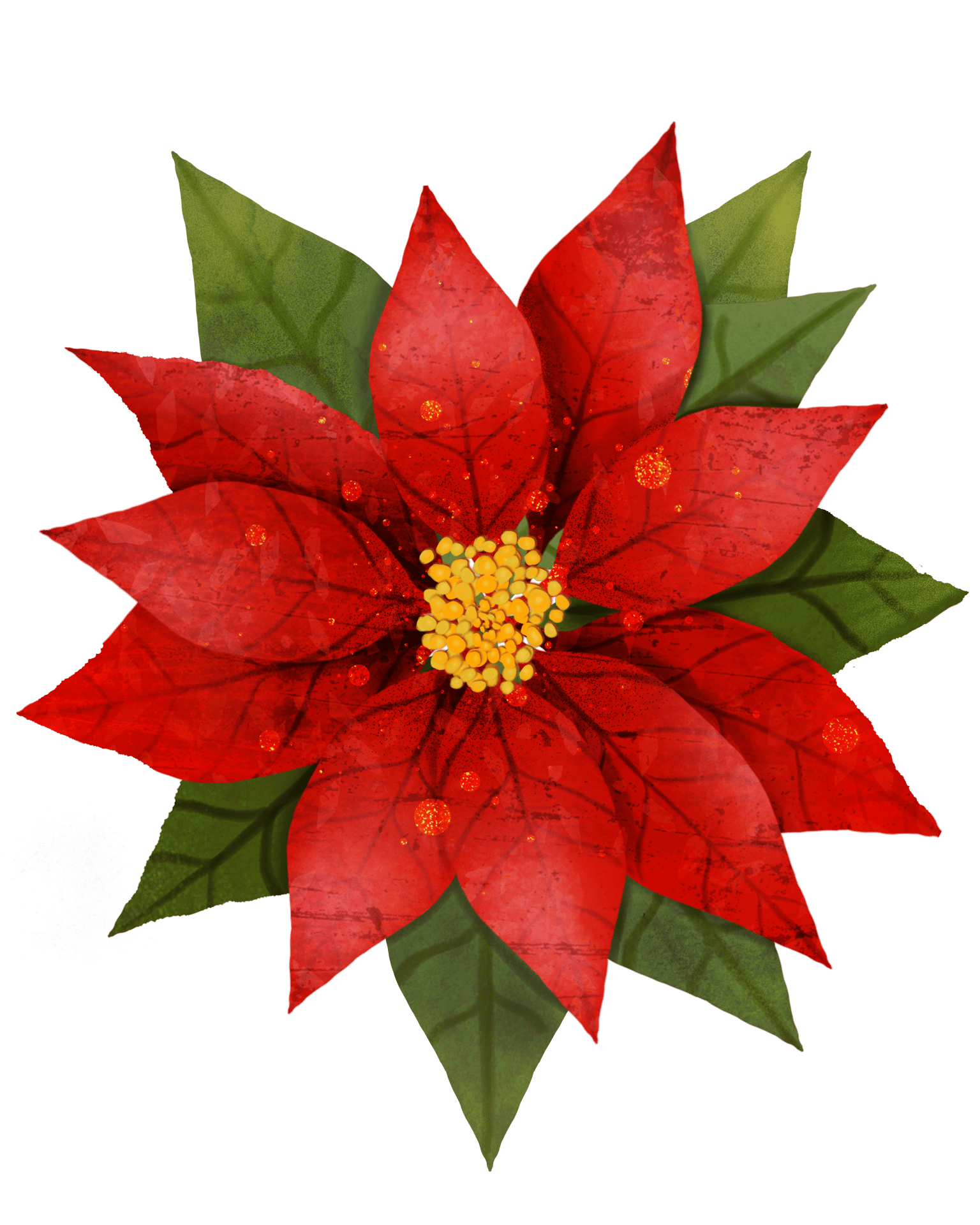 Poinsettia - image 1 - student project