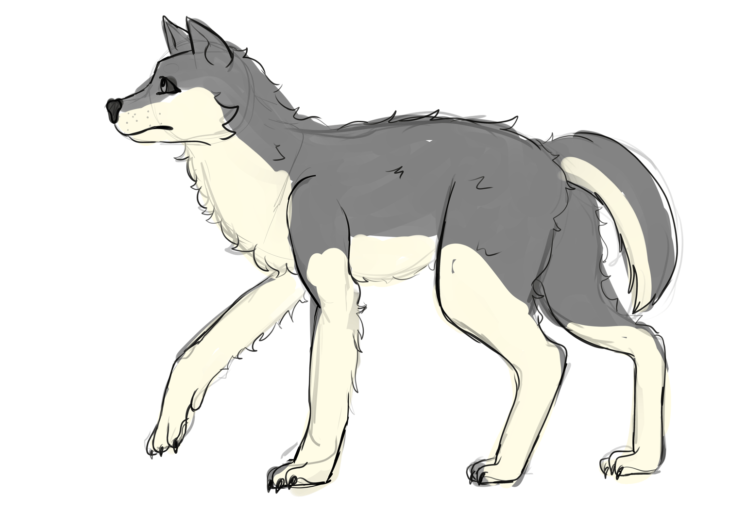 Wolf practice - image 7 - student project