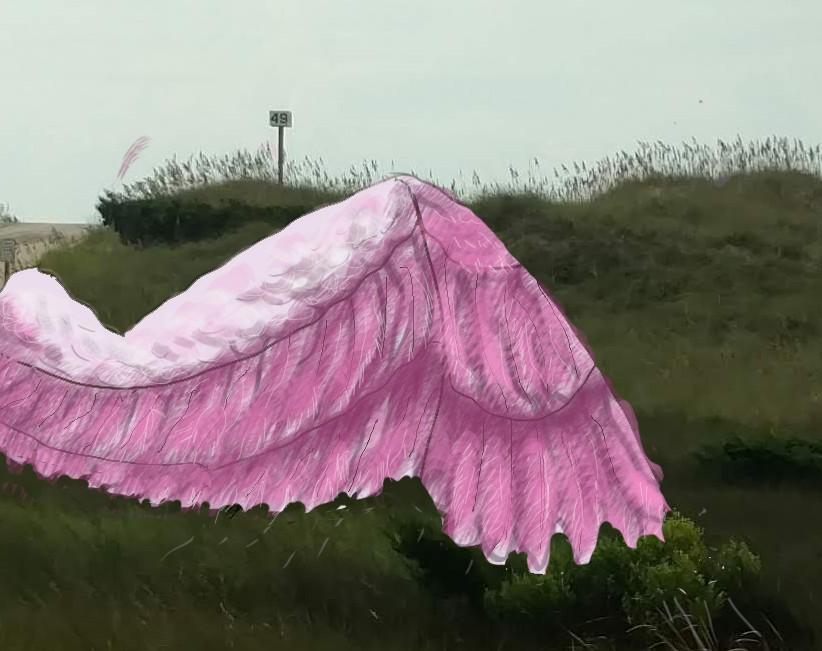 Drawing Wing Structure - image 1 - student project