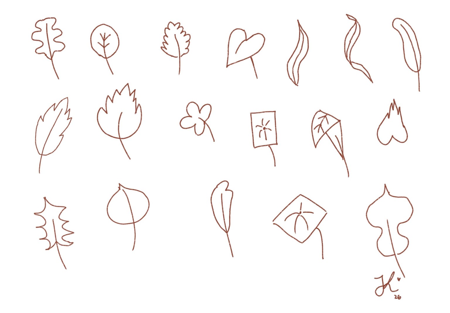 Plants & botanical illustration - image 2 - student project
