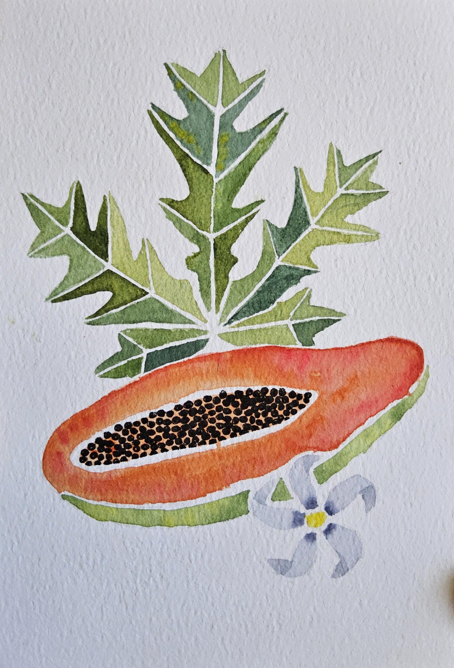 Papaya - image 2 - student project