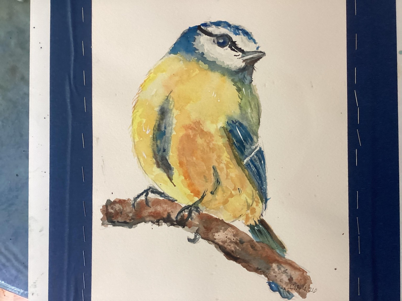 A monochrome bird, and others, a Maria Raczynska tutorial - image 1 - student project