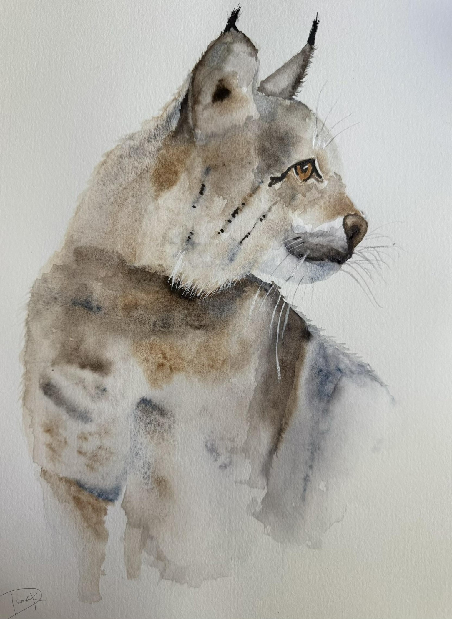 Hey kitty kitty! - image 1 - student project