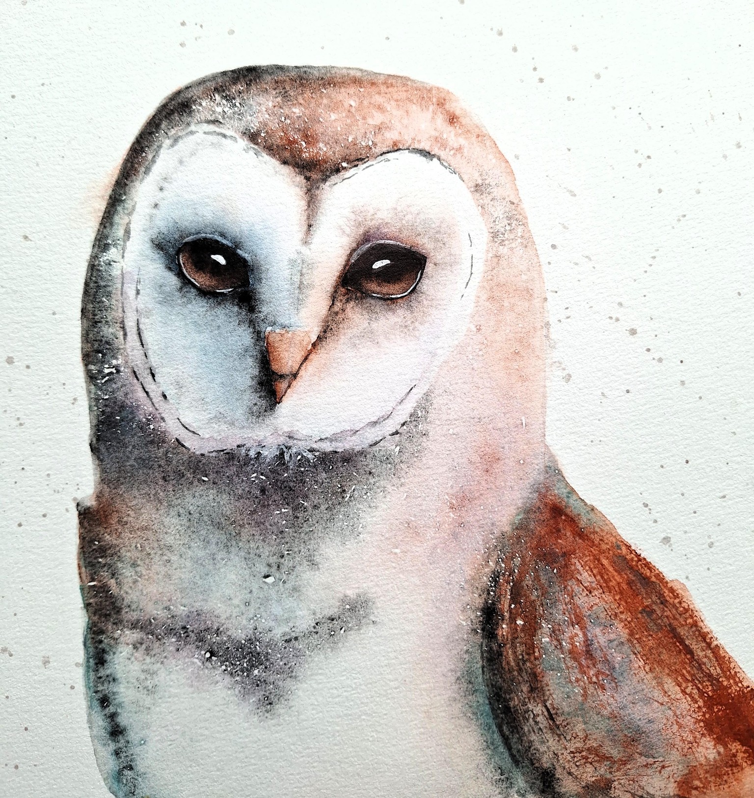 Barn Owl - image 1 - student project