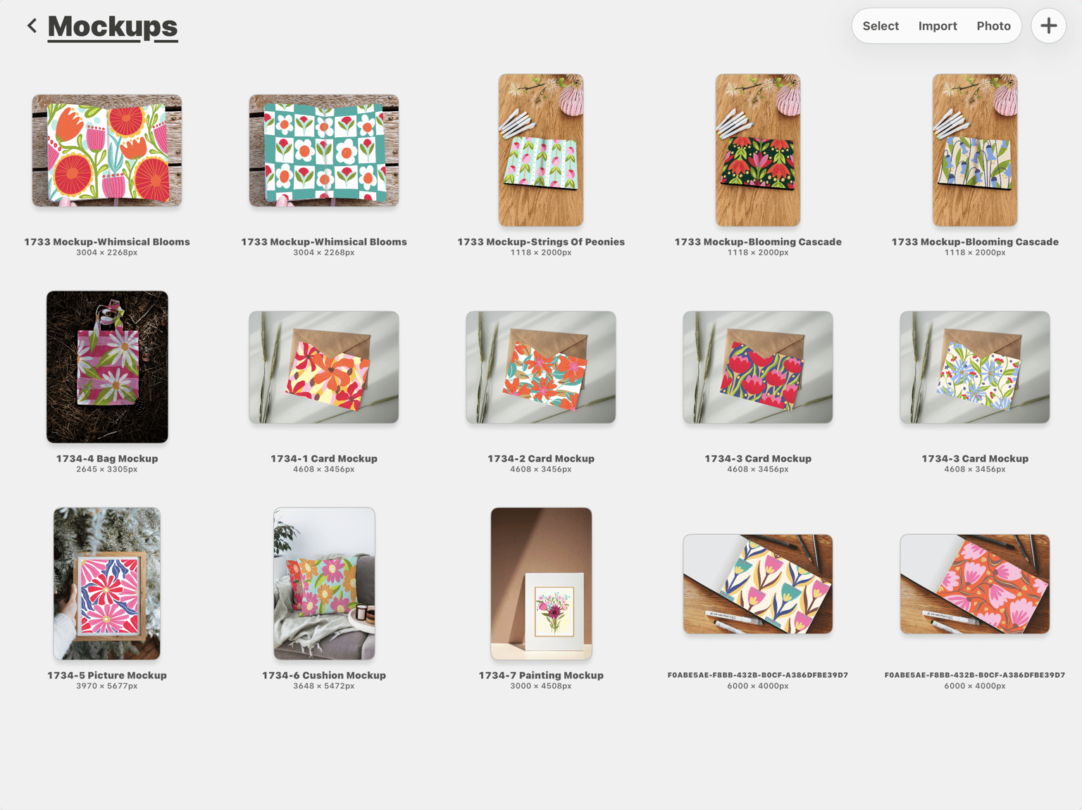 Day15. .. the Mockups - image 1 - student project
