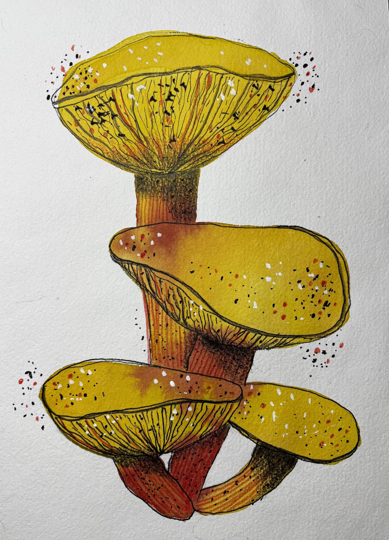 Mixed media mushroom - image 2 - student project