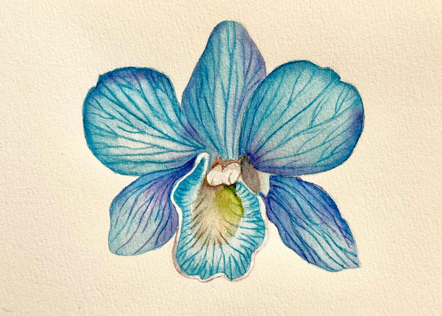 Watercolour Orchids - image 2 - student project