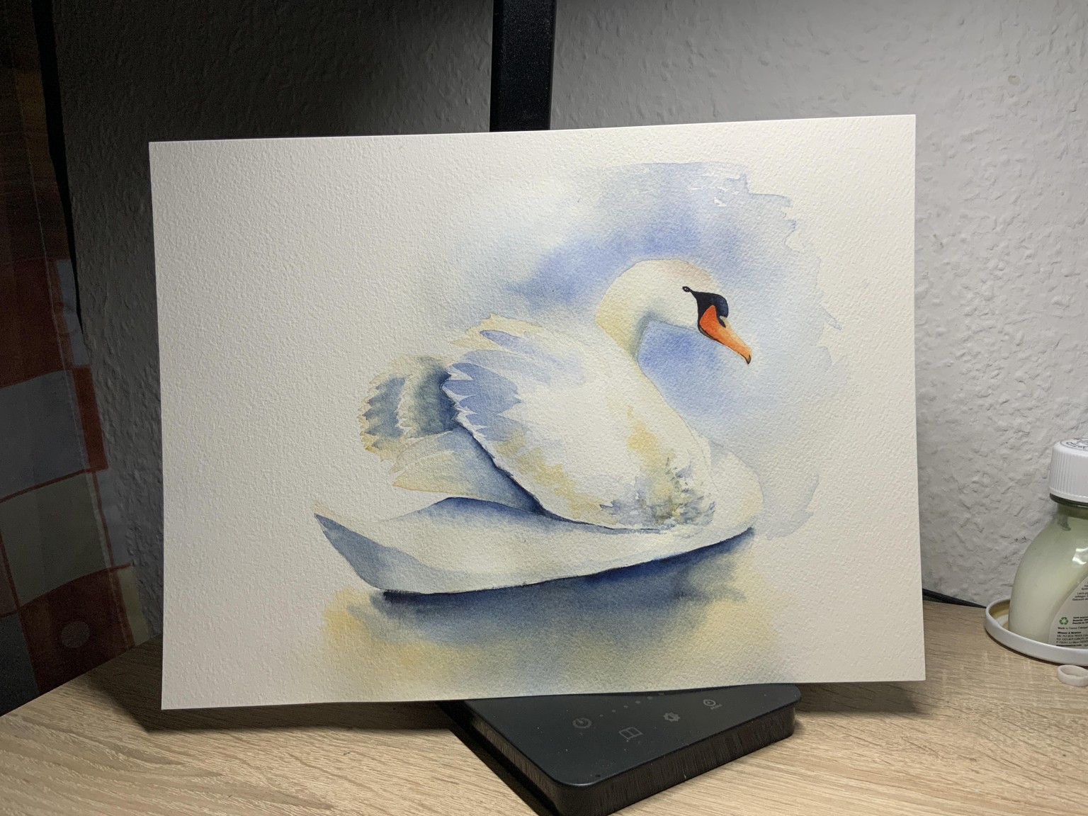 Swan - image 1 - student project