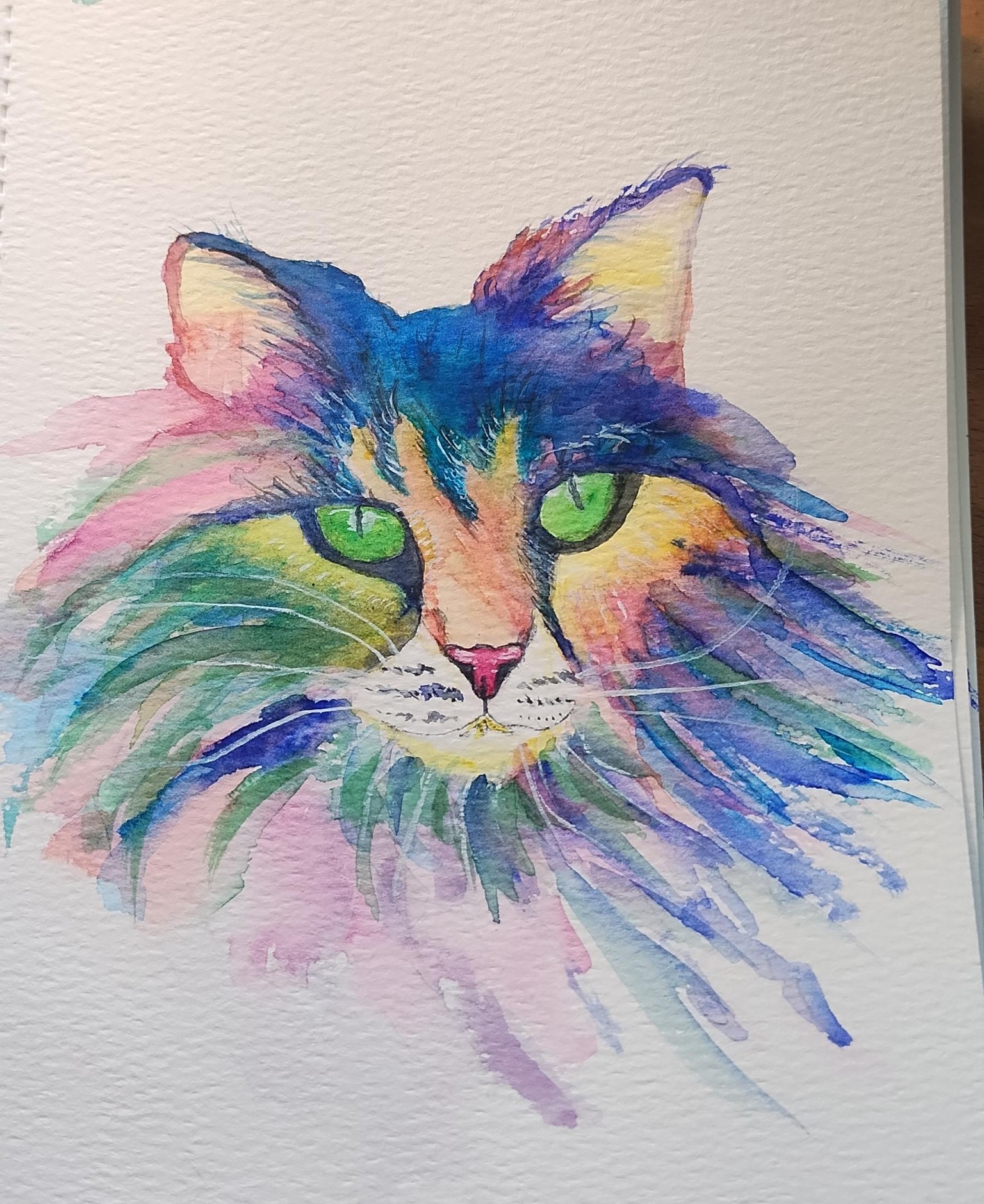 Cats 1 and 3 - image 1 - student project