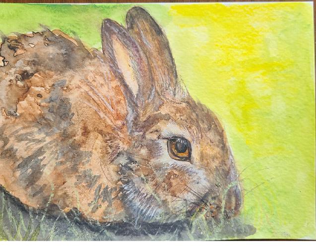 Watercolor Sketchbook 6 paintings - image 2 - student project