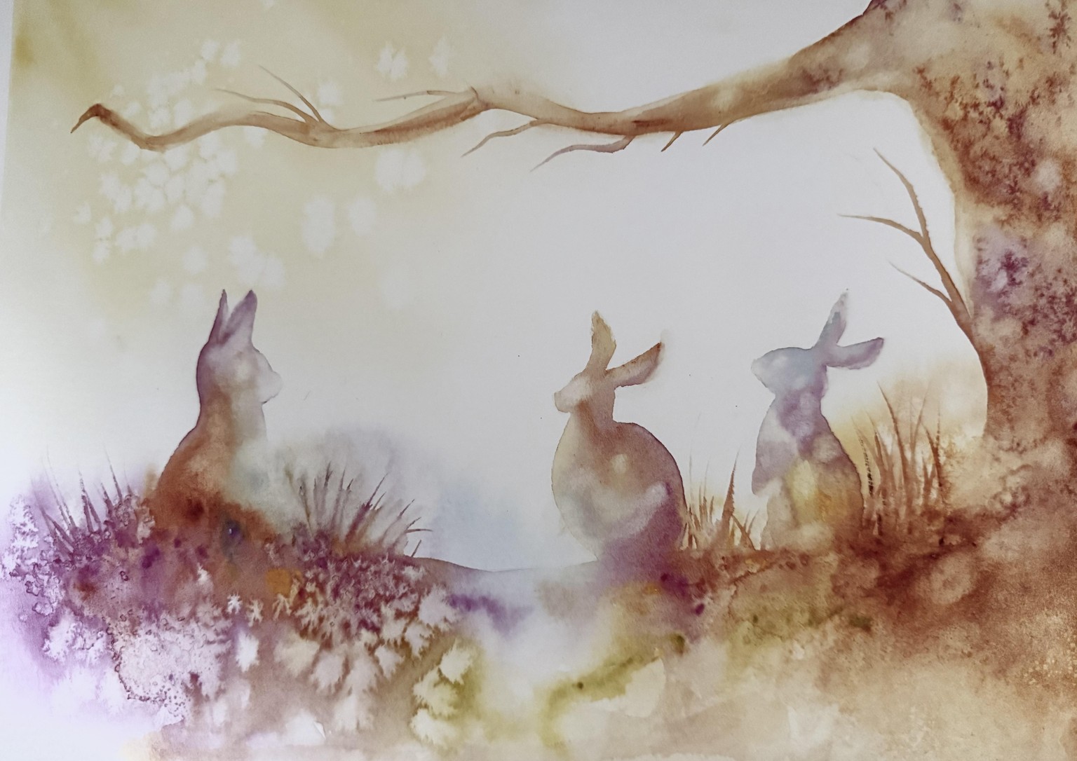 Bubbly bunnies - image 1 - student project