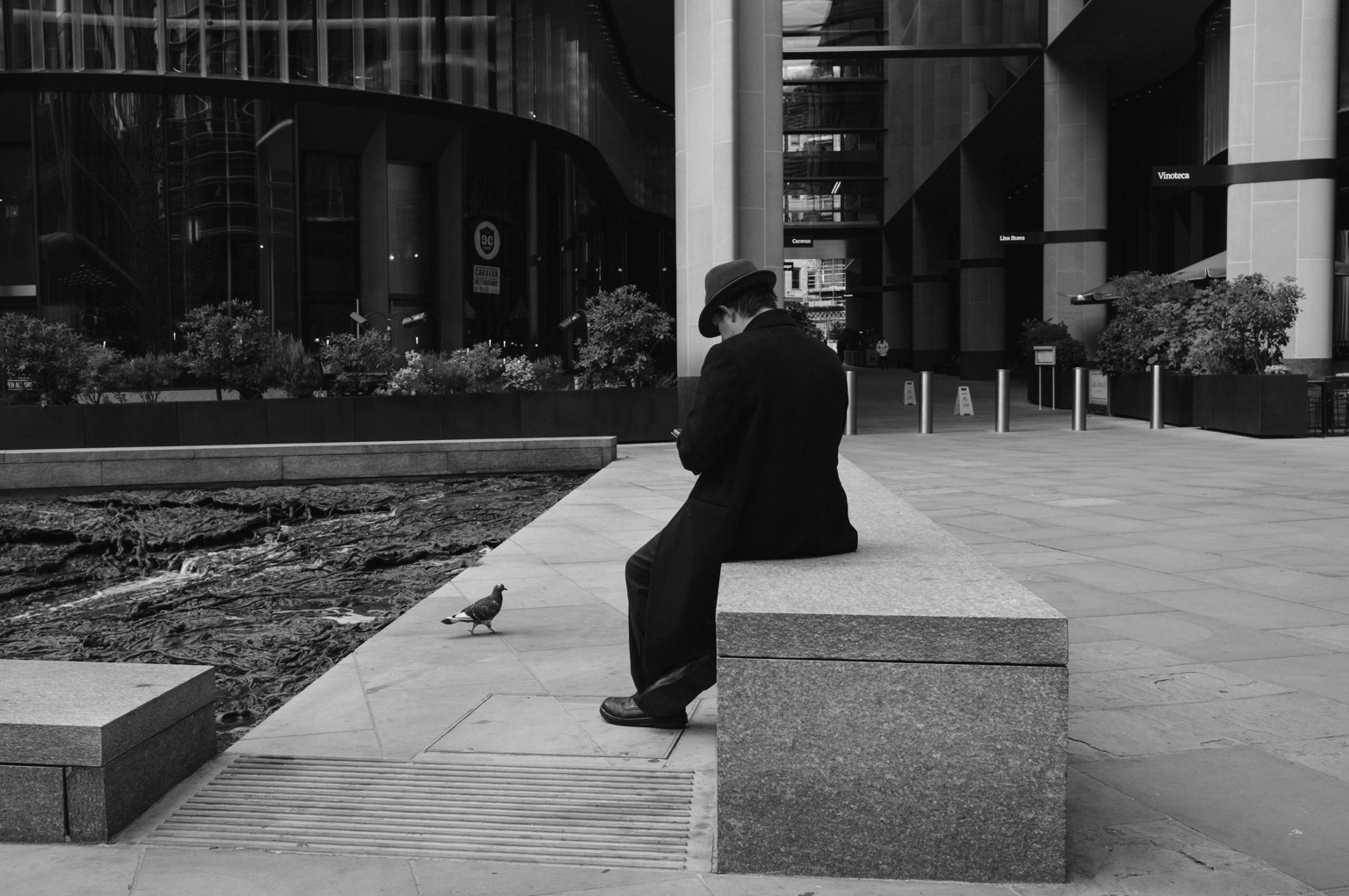 My monochrome journey - image 1 - student project