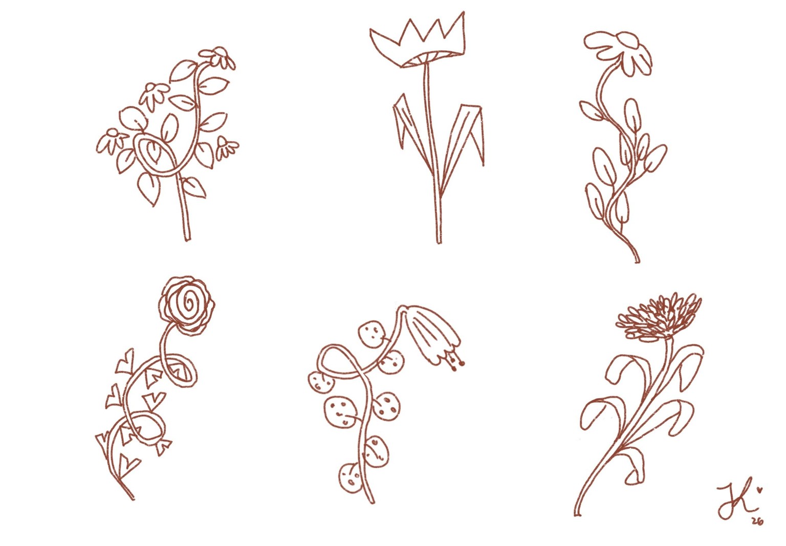 Plants & botanical illustration - image 4 - student project