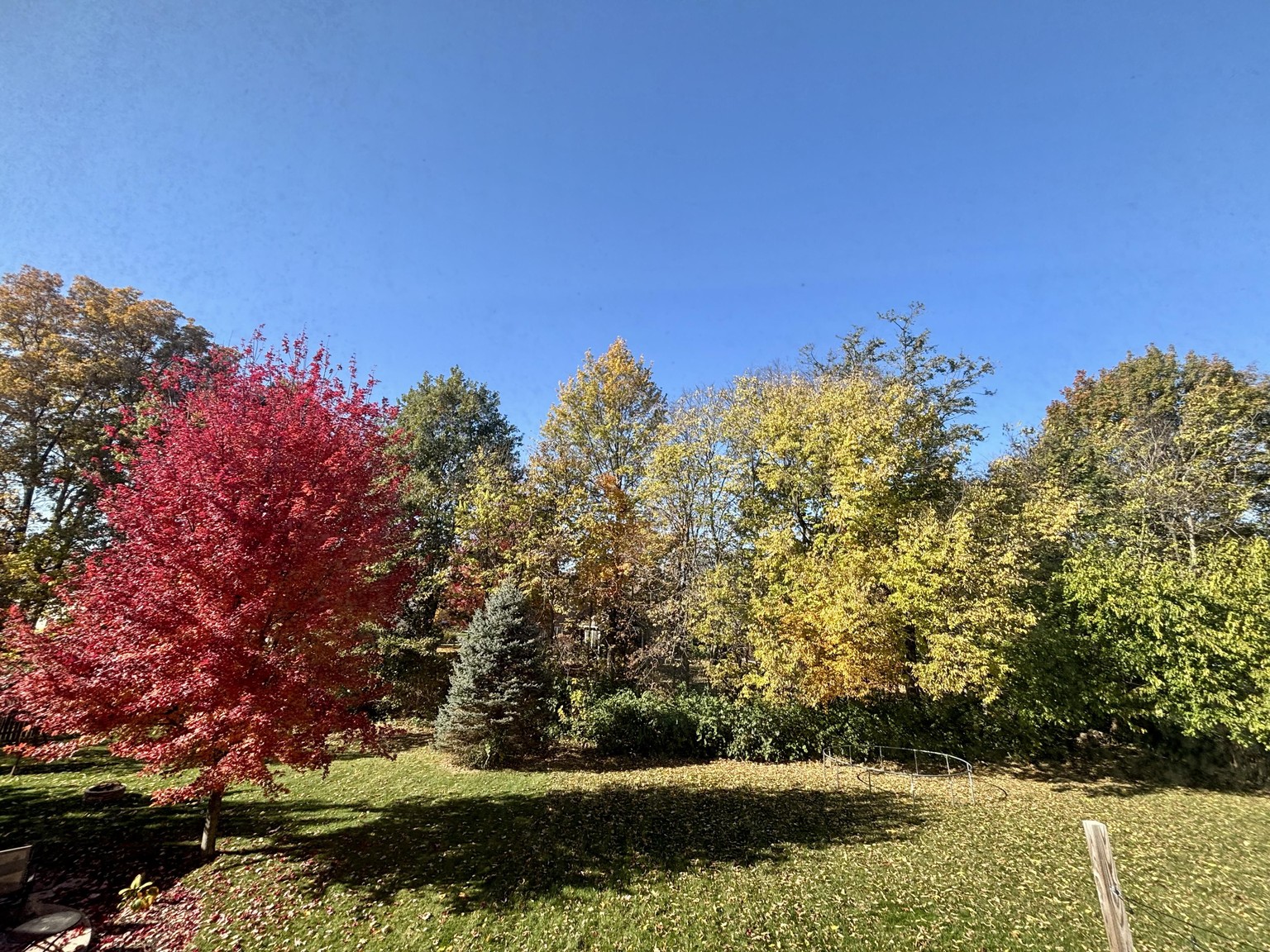 Autumn Lines - image 1 - student project