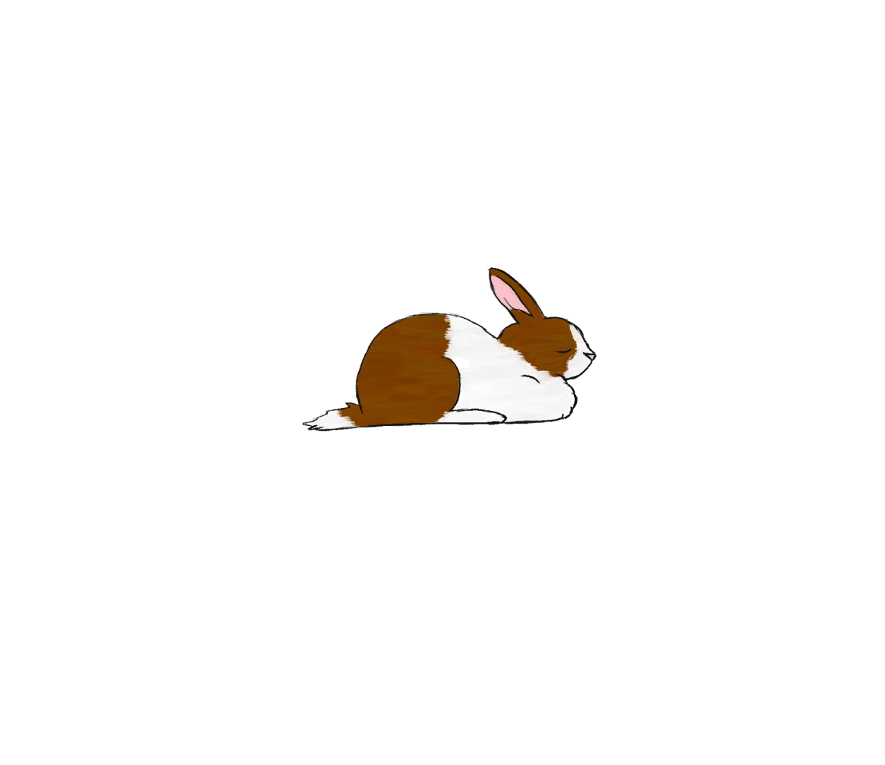 Bunny Drawing - image 2 - student project