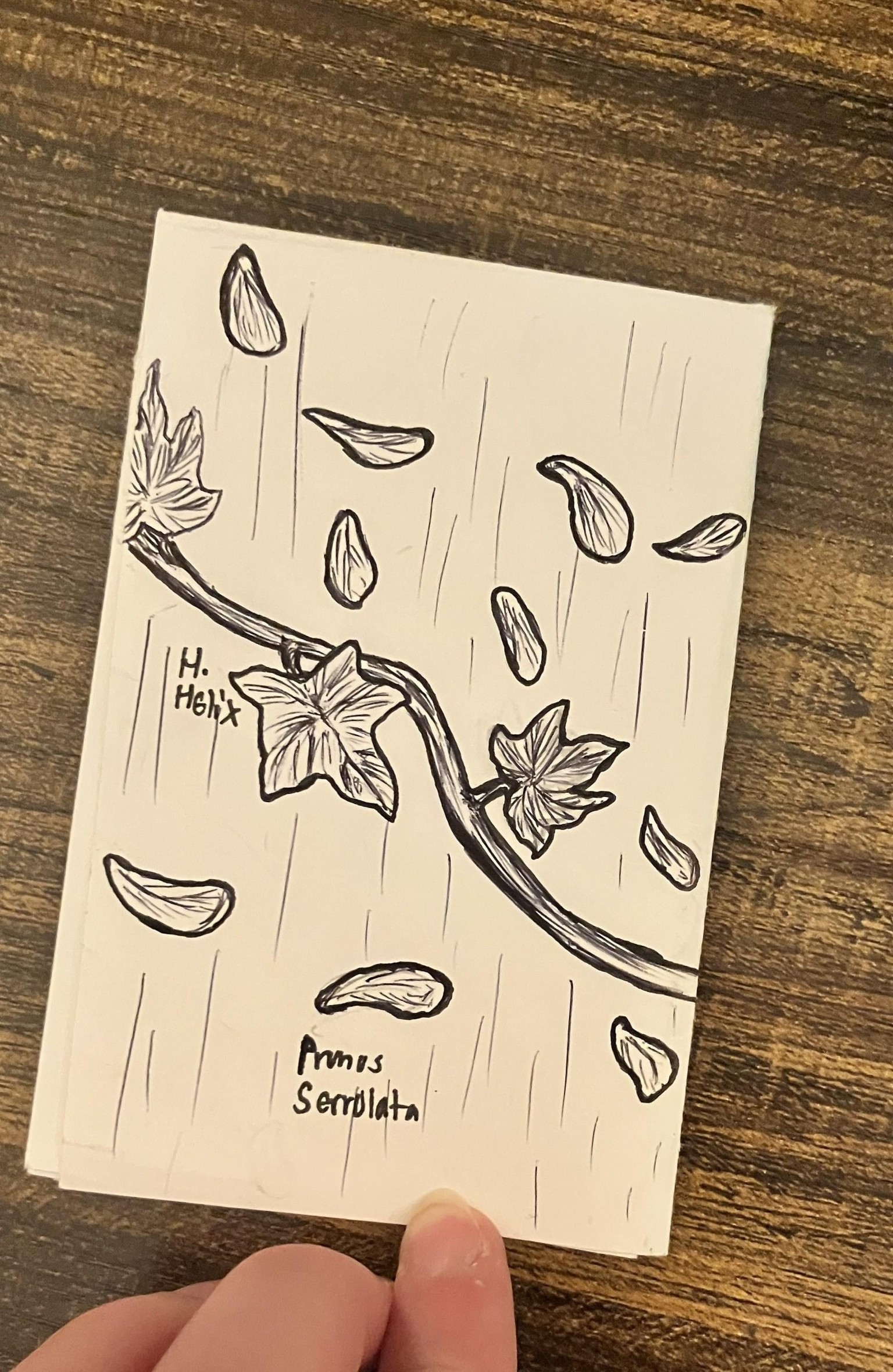 Botanical zine - image 5 - student project