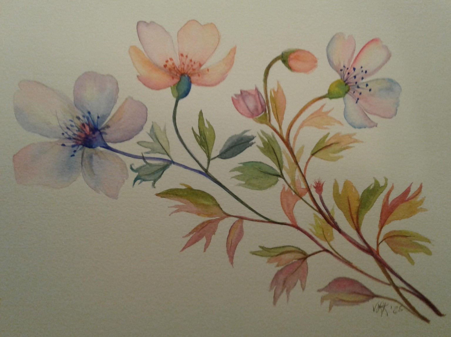 Watercolor Florals 1 - image 1 - student project