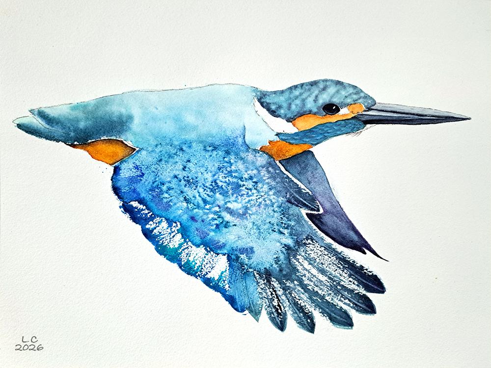 Flying Kingfisher Class - image 1 - student project