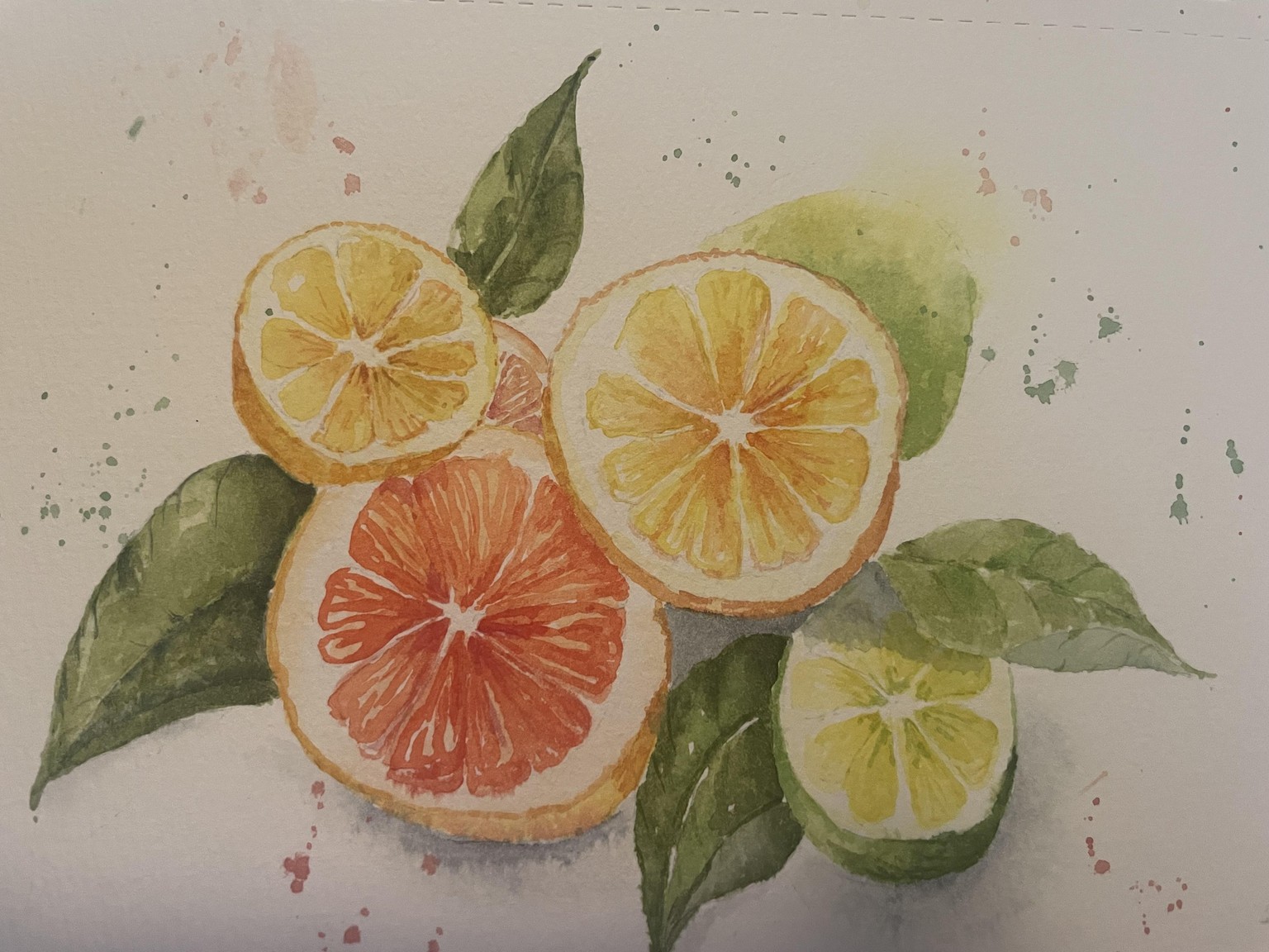 Citrus fruit - image 1 - student project