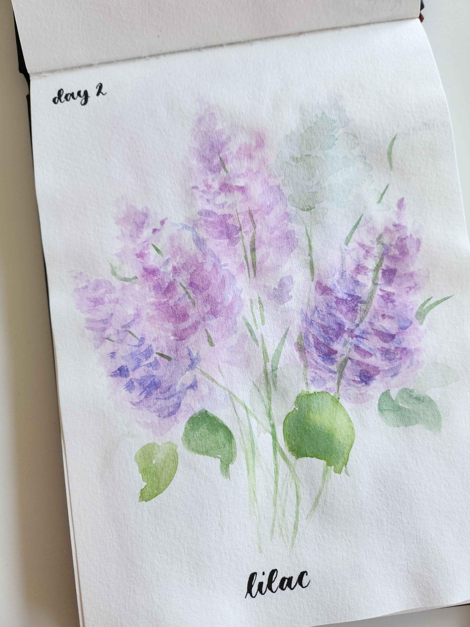 Spring florals - image 2 - student project