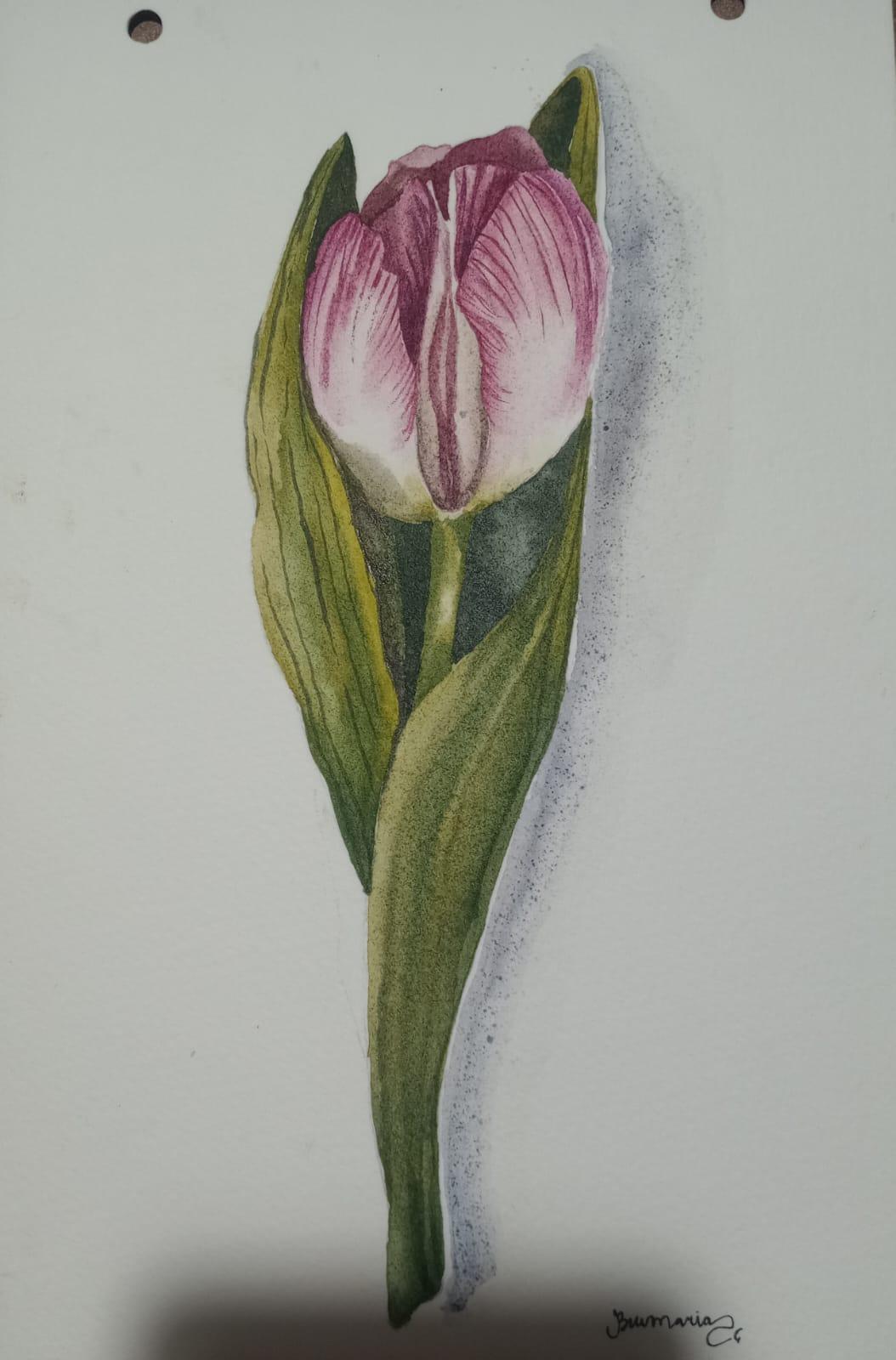 TULIPAS EM AQUARELA - image 3 - student project