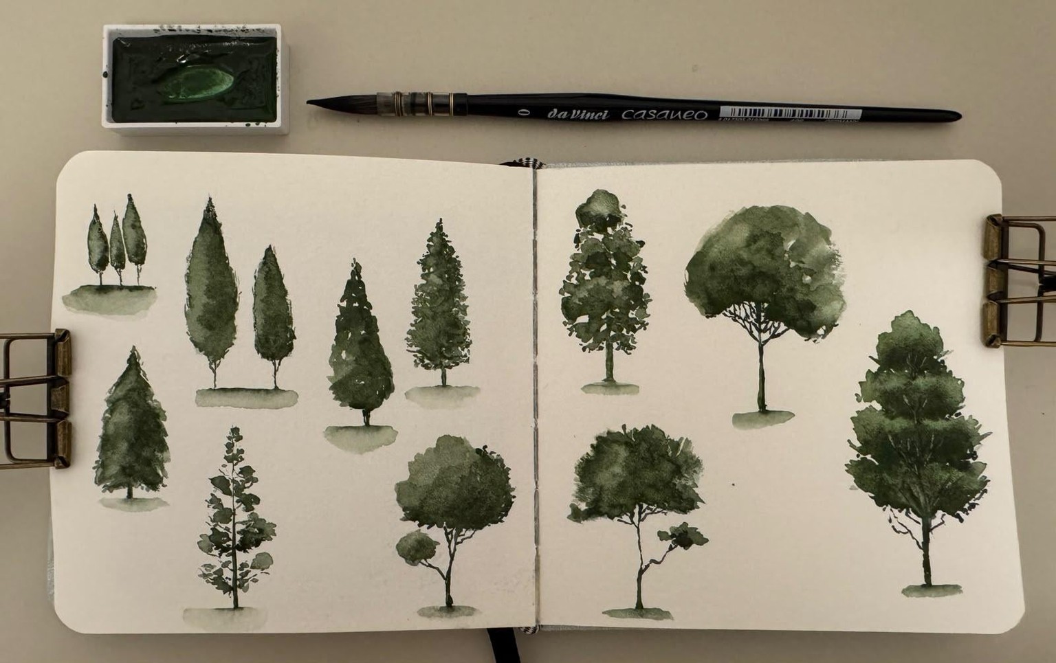Loose Watercolor Trees - image 1 - student project