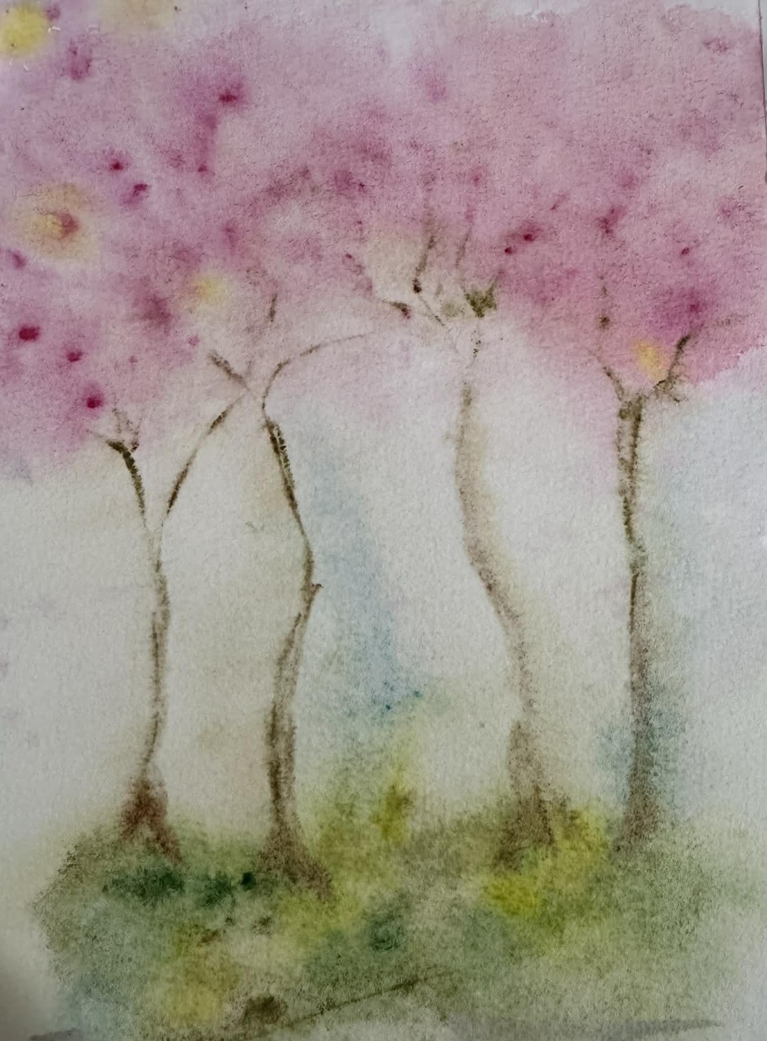 paint loose watewrcolor-sakura cherry blossoms - image 1 - student project