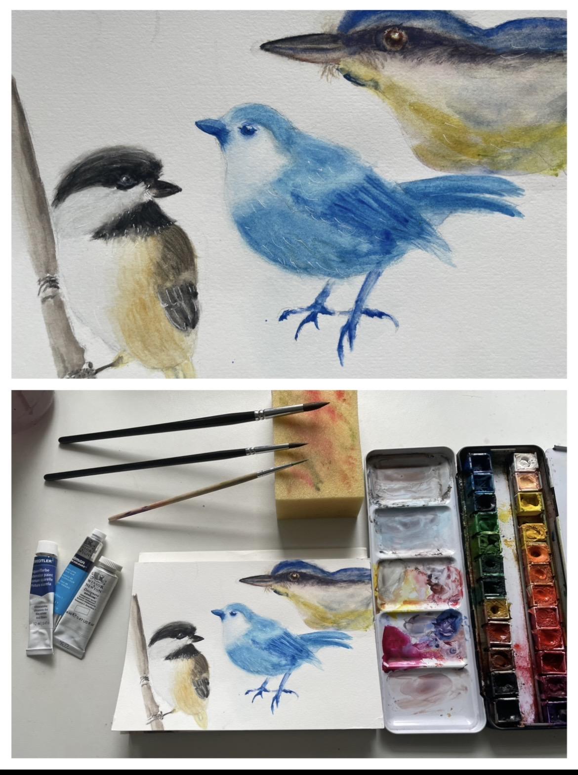 Before and after photos - image 1 - student project