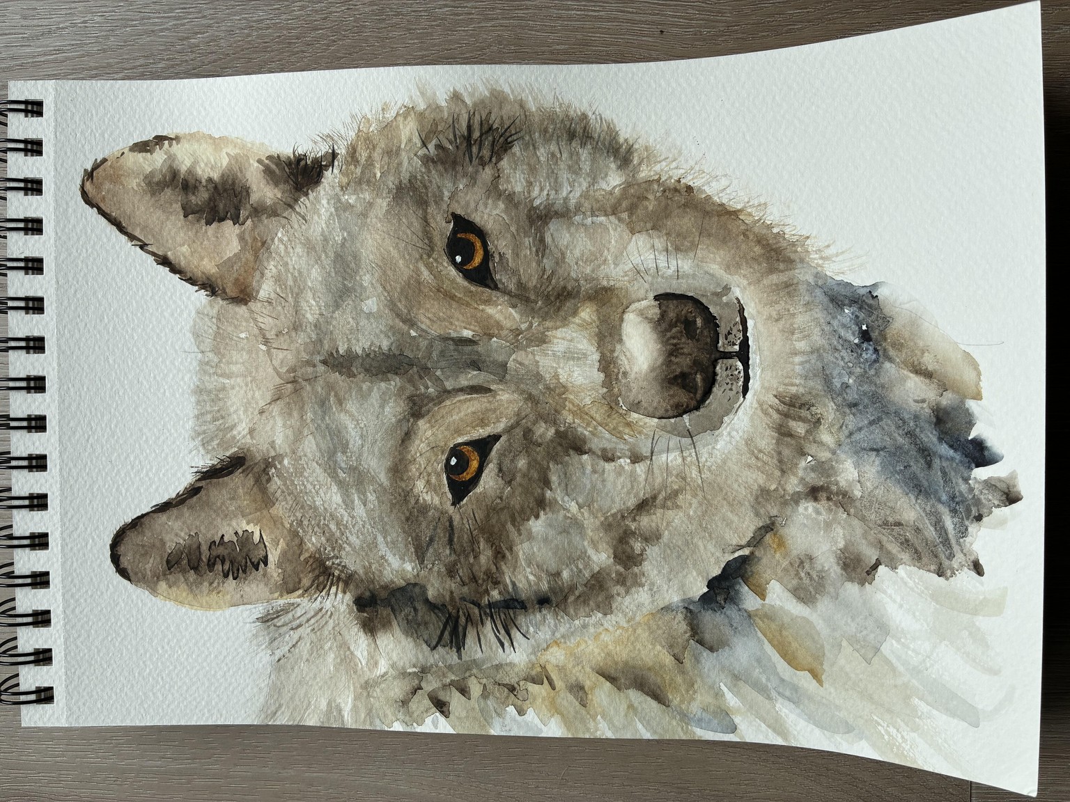 Watercolour wolf - image 1 - student project