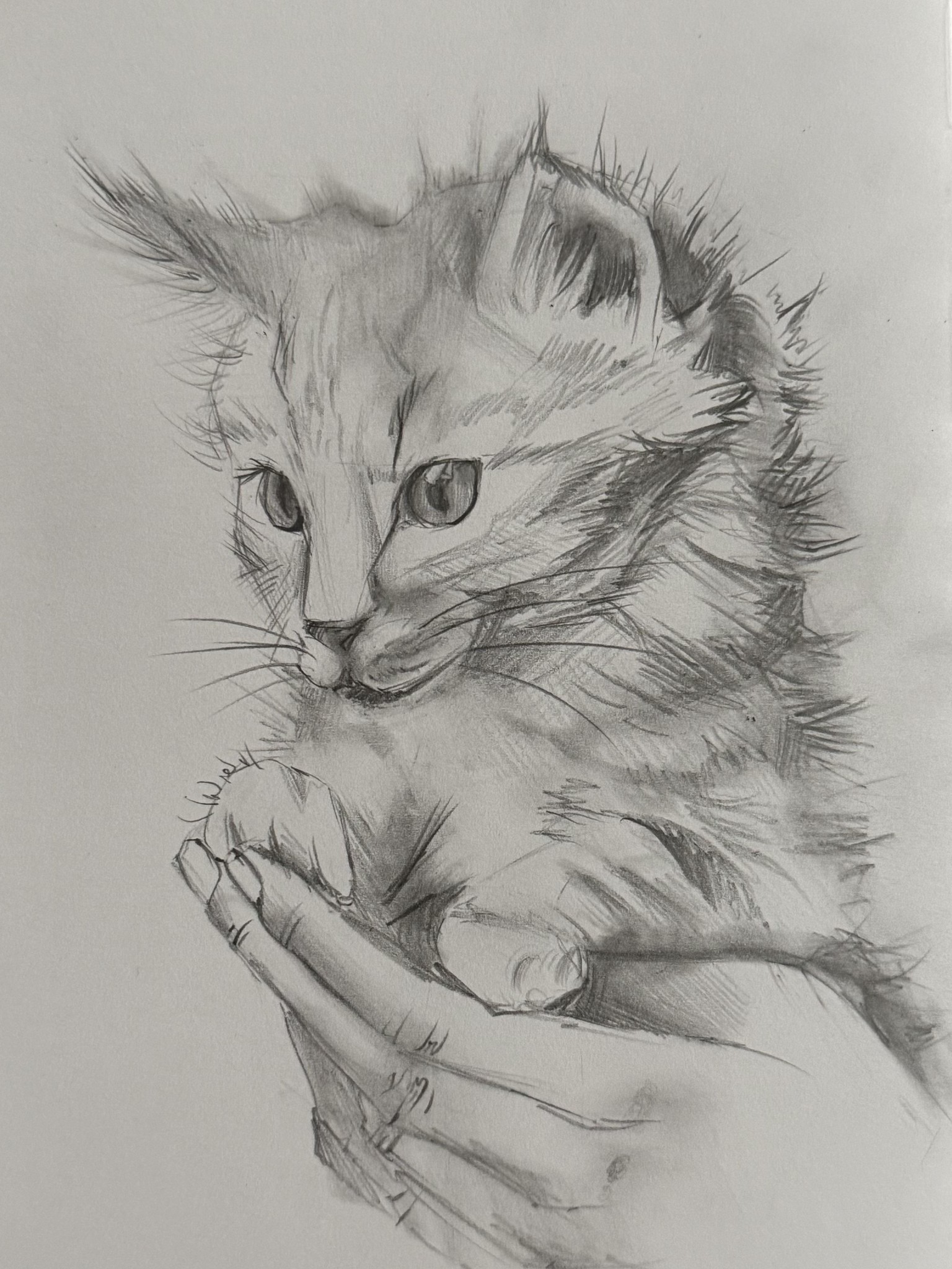My sketches - image 1 - student project