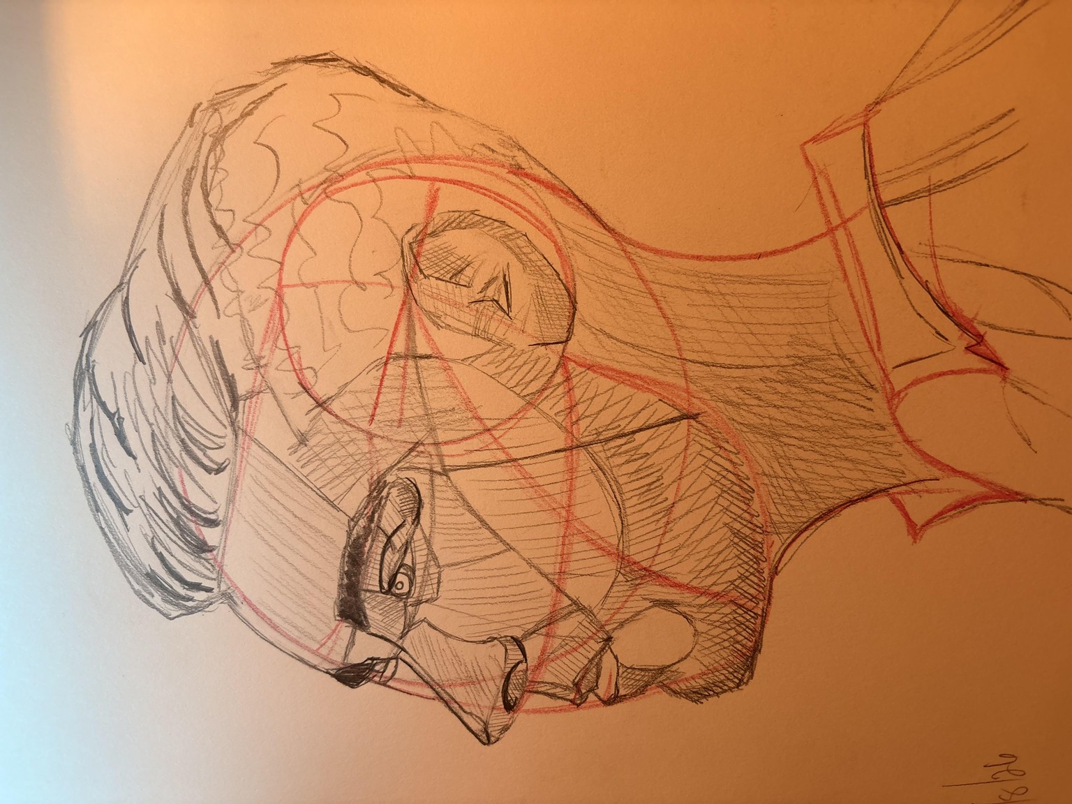 Loomis Head 1 - image 1 - student project