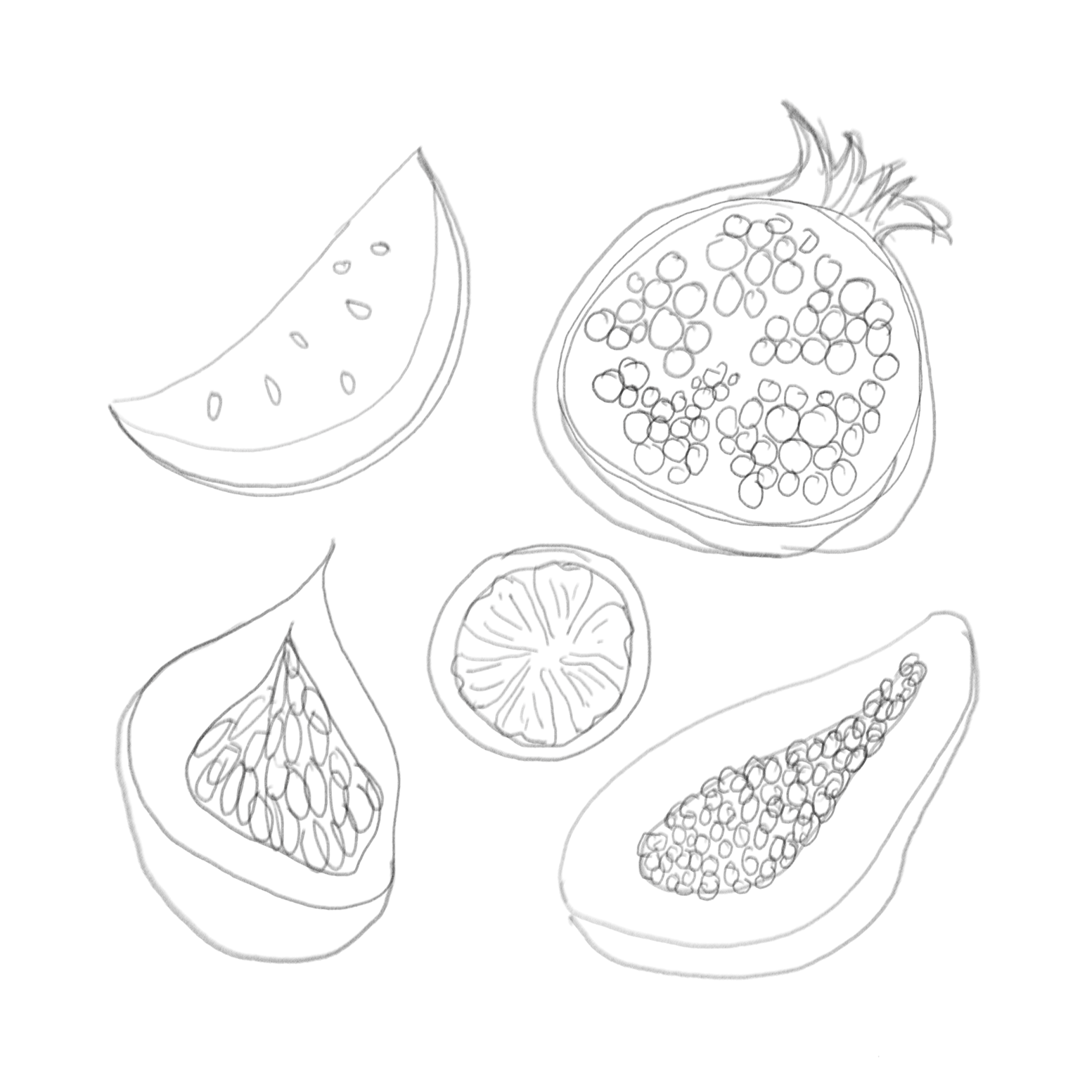 Fruits - image 3 - student project