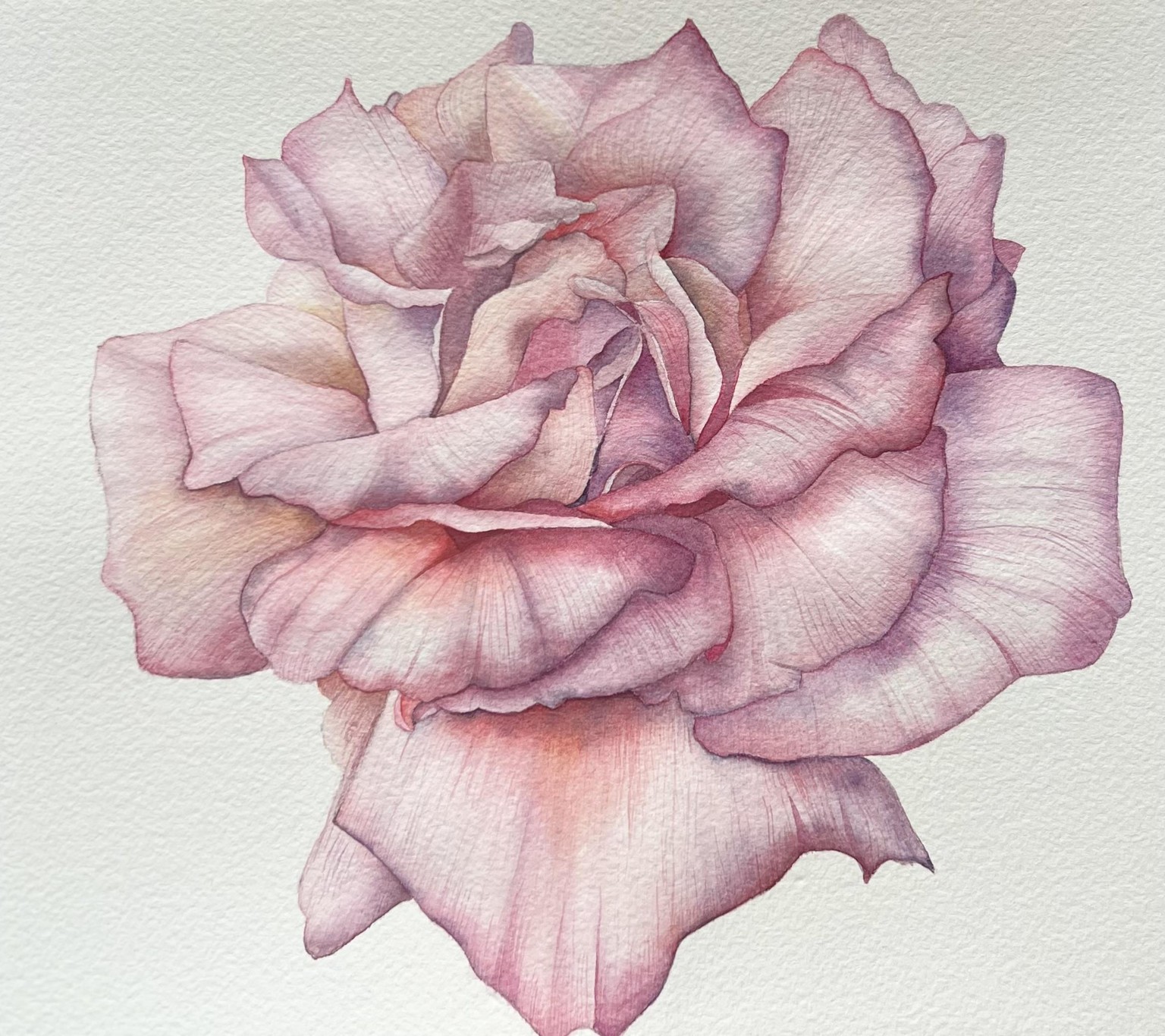 Watercolor Rose - image 1 - student project