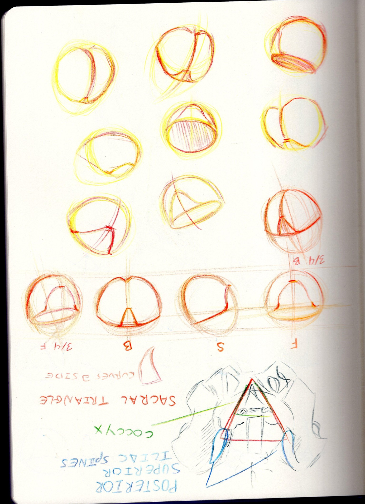 This was great! - image 8 - student project