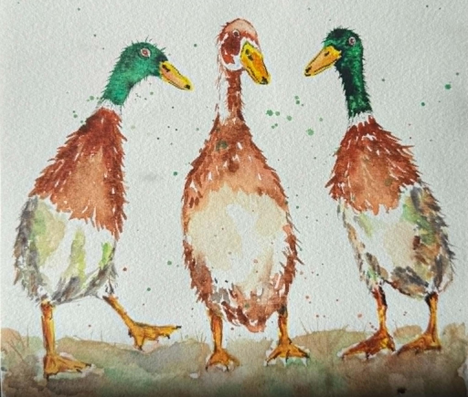 Quirky ducks - image 1 - student project