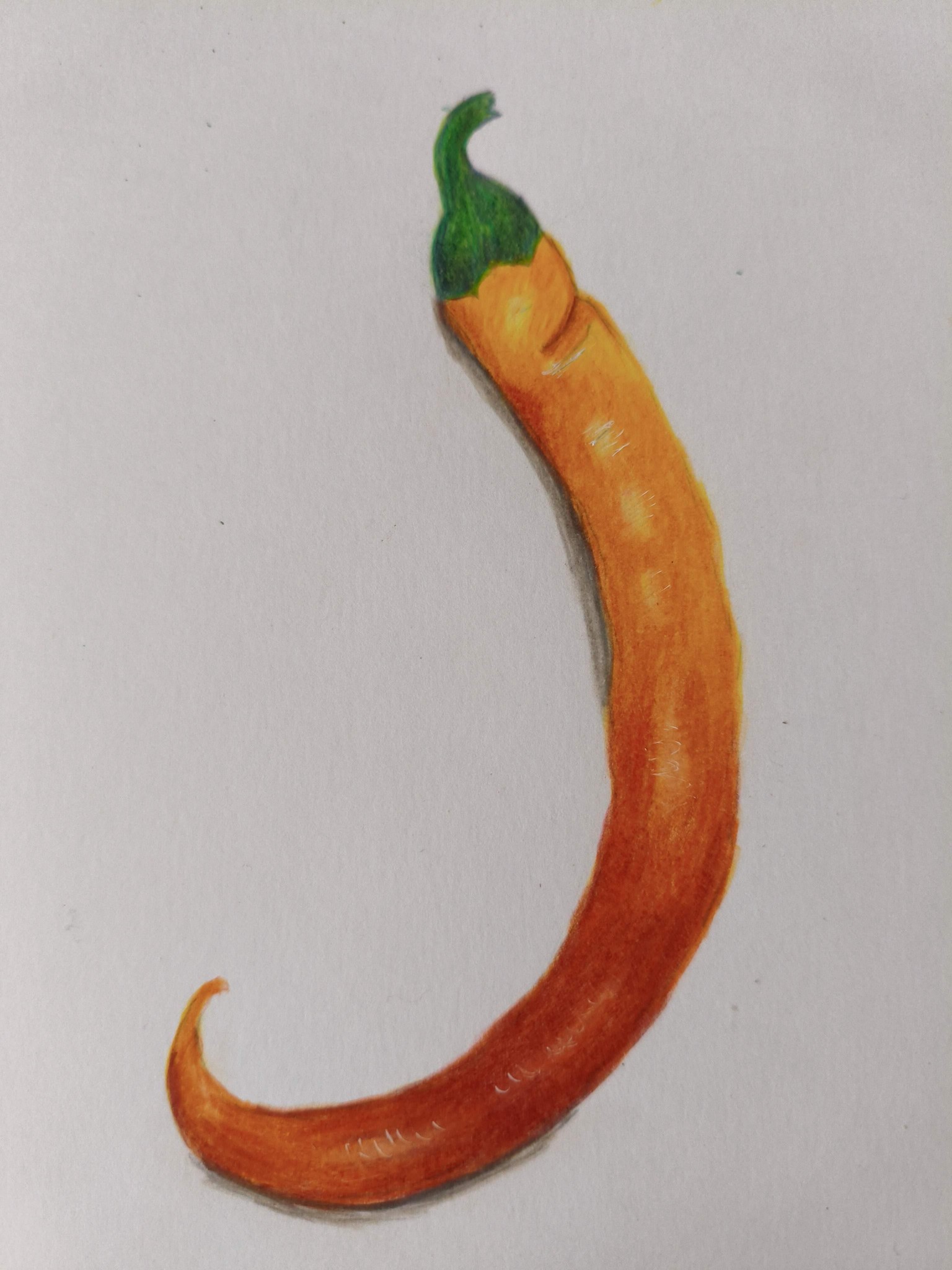 Chilli - image 1 - student project