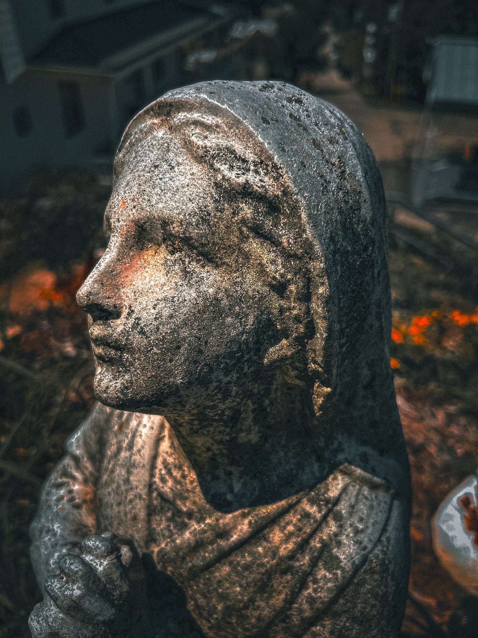 First Time Photography - image 2 - student project