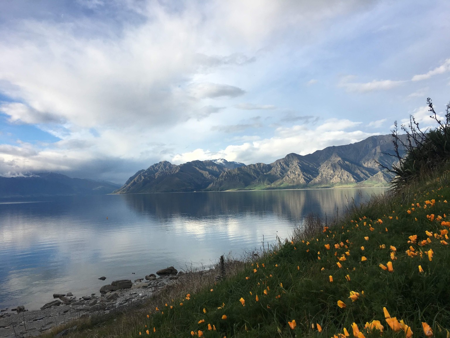 New Zealand Scene - image 1 - student project